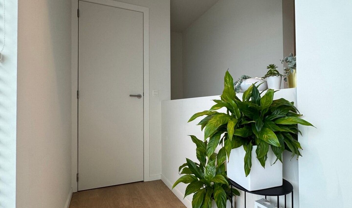 Duplex &agrave; louer &agrave; Lennik