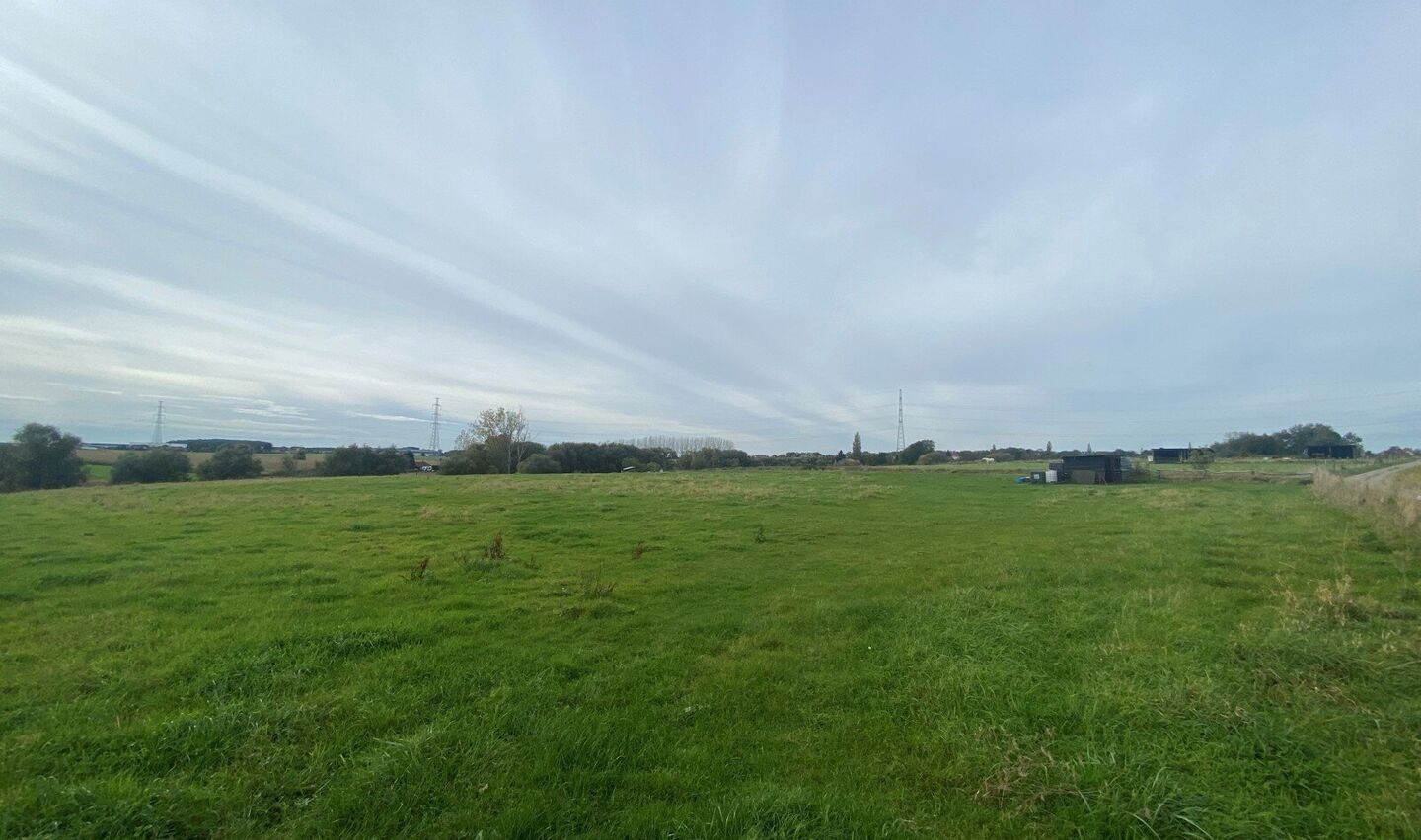 Prairie &agrave; vendre &agrave; Halle