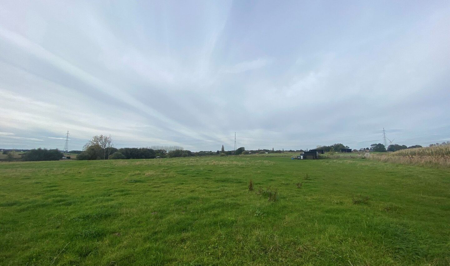 Prairie &agrave; vendre &agrave; Halle