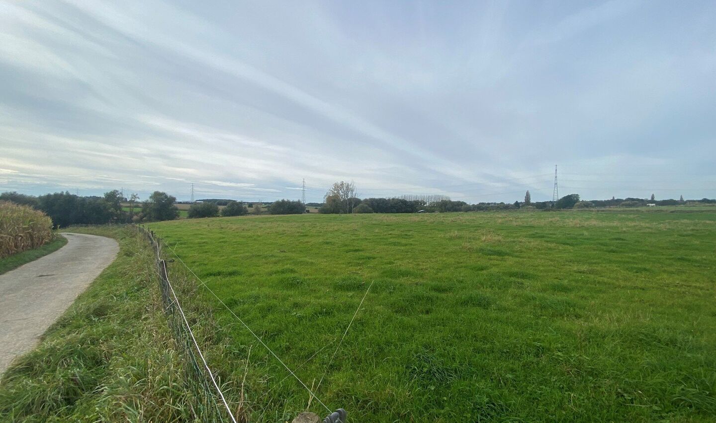 Prairie &agrave; vendre &agrave; Halle