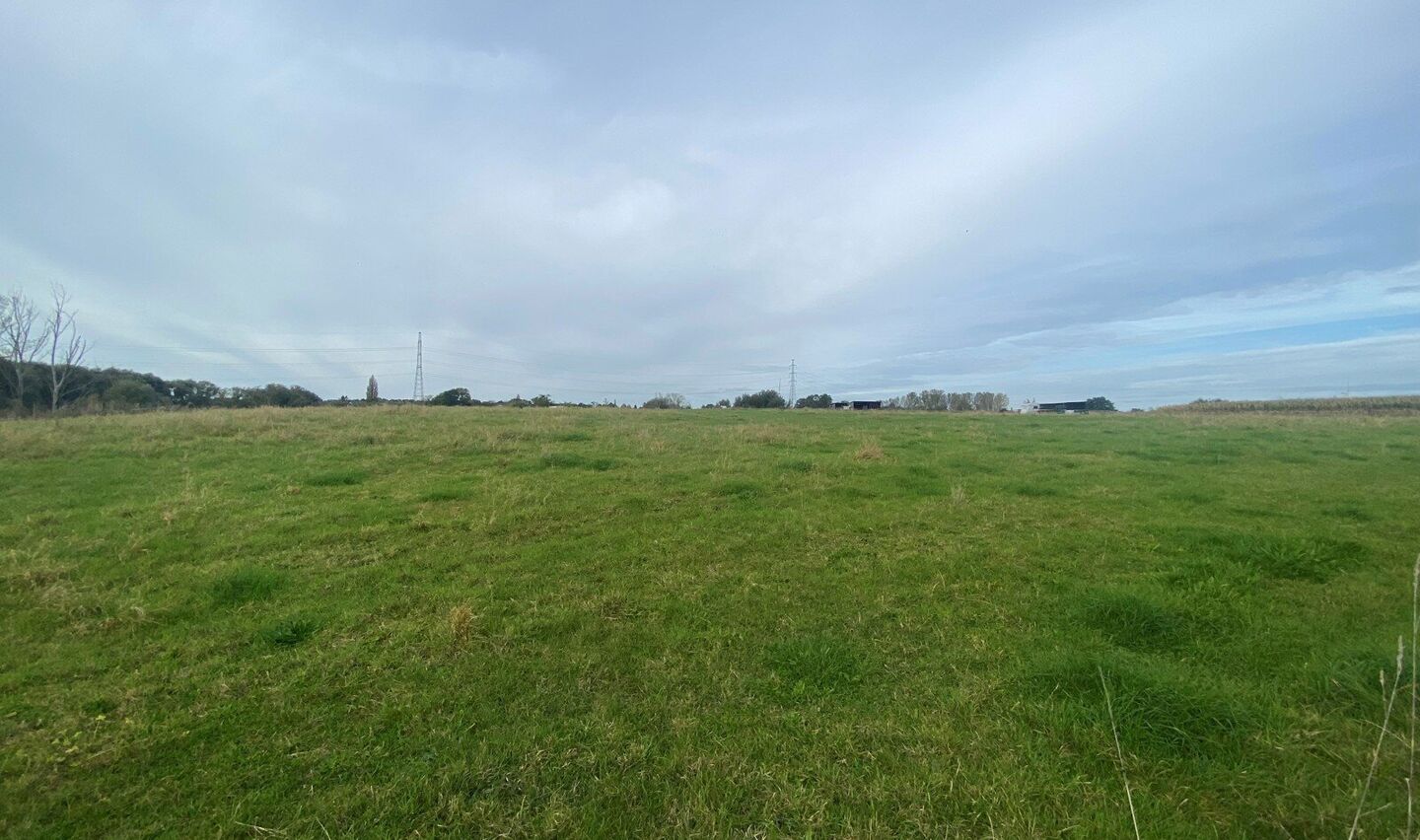 Weide te koop in Halle