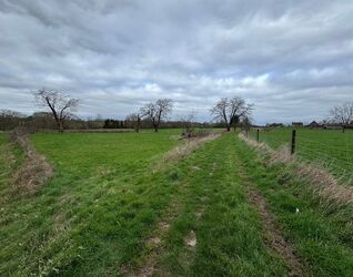 Boomgaard te koop in Sint-Pieters-Leeuw