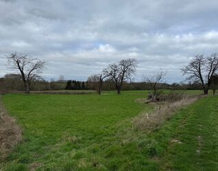 Landbouwgrond te koop in Sint-Pieters-Leeuw
