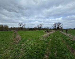 Landbouwgrond te koop in Sint-Pieters-Leeuw