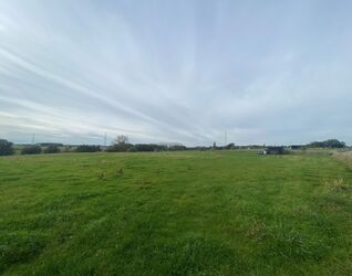 Prairie &agrave; vendre &agrave; Halle