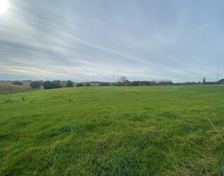 Prairie &agrave; vendre &agrave; Halle