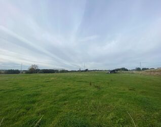 Prairie &agrave; vendre &agrave; Halle