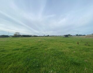 Prairie &agrave; vendre &agrave; Halle