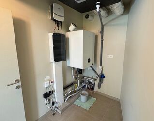 Rez-de-chauss&eacute;e &agrave; louer &agrave; Halle