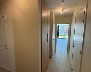 Rez-de-chauss&eacute;e &agrave; louer &agrave; Halle