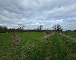 Terrain agricole &agrave; vendre &agrave; Sint-Pieters-Leeuw