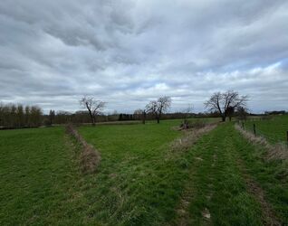 Terrain agricole &agrave; vendre &agrave; Sint-Pieters-Leeuw